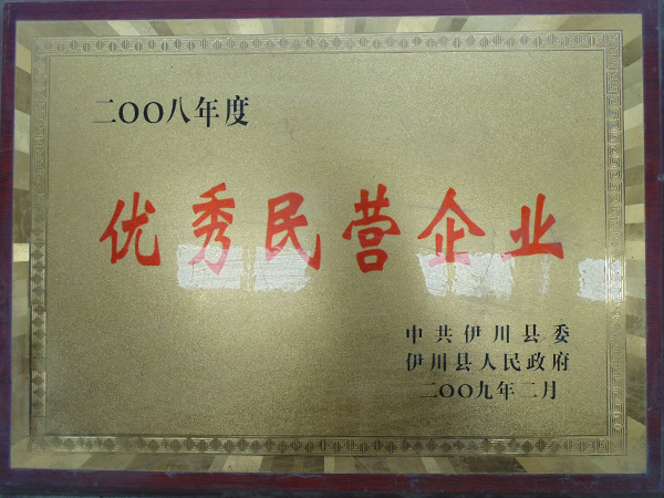 2008年度***民營(yíng)企業(yè)